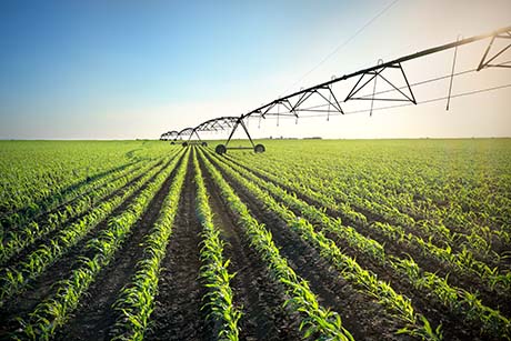 Propane Gas is Used in farming